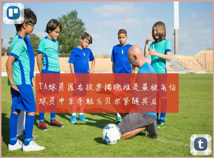 TA球员匿名投票揭晓谁是最被高估球员申京夺魁戈贝尔紧随其后