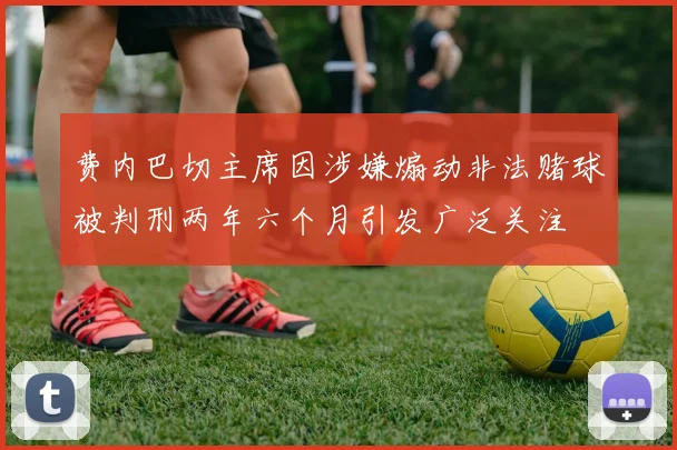 费内巴切主席因涉嫌煽动非法赌球被判刑两年六个月引发广泛关注